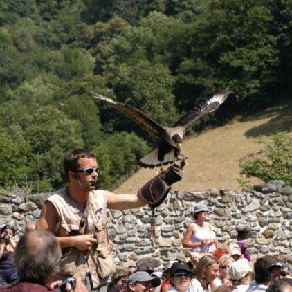 Spectacle et visite Donjon des Aigles à Argelès-Gazost dans les Hautes-Pyrénées